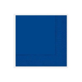 TOVAGLIOLO 25X25 2V. BLU CONF.100 PZ.